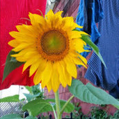 Kathy Charbonnier's photo