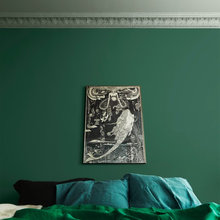 colori