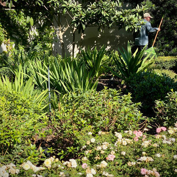 River Oaks IV