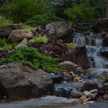 Water Features