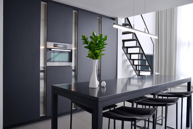 Minimalist home design photo in San Diego