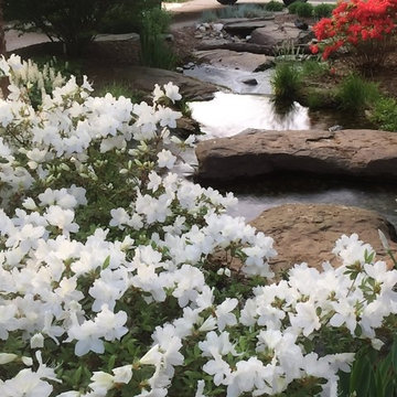 Pondless Waterfalls, Disappearing Waterfalls, Baltimore, Maryland (MD)