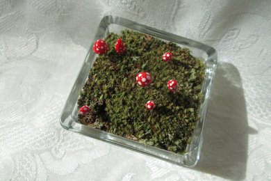 Moss Pocket Gardens