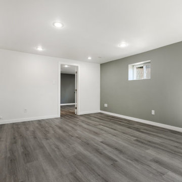 Basement Remodel