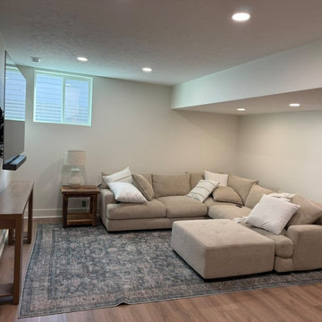 Full Basement Finish in Elkhorn with Wet Bar, Flex Space & Color-Drenched Bath