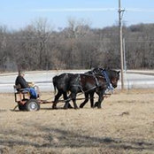 Amy Hull's photo