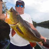 Chico Lopes Azevedo's photo