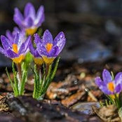 Chrystal Kennedy's photo