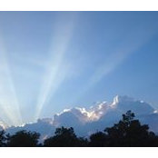 Lisa Holstein's photo