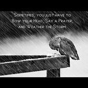 Carrie Prosser Aceves's photo