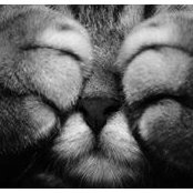 Caroline Blouin's photo