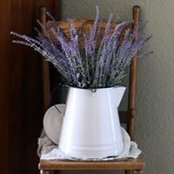 Laura Weber-Smith's photo