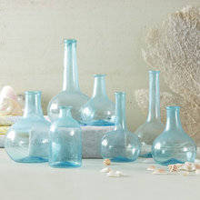 Guest Picks: Teal is the Deal