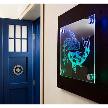LED Standoffs: Fish Sign