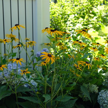 Traditional New England Landscape - Hingham