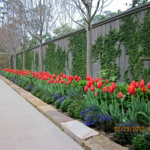2014 WOW Gardens