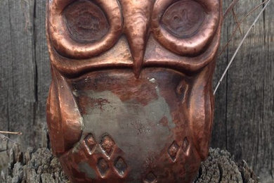 Hand raised vessels/The Wise Owl