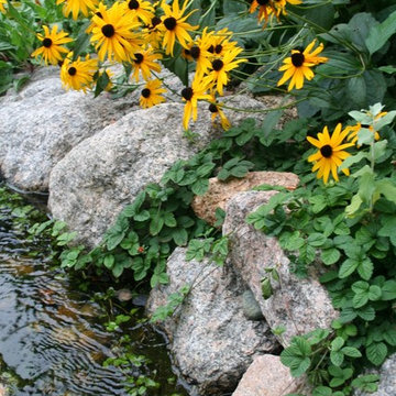 Residential Landscape Maintenance