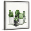 "Pointy Spikes Succulents" Framed Painting Print