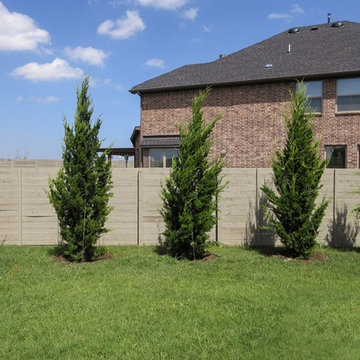 Brodie Eastern Red Cedar