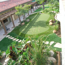 putting green