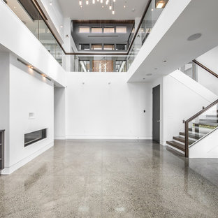 Foto di un grande soggiorno design chiuso con sala formale, pareti bianche, pavimento in linoleum, camino lineare Ribbon, cornice del camino in intonaco, nessuna TV e pavimento grigio