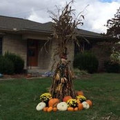 Melissa Schroeder's photo