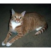Donna Hendrix-Lanier's photo
