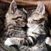 Laurence Eudier Ratte's photo