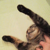 Foto di あな