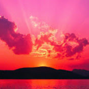 Luigi DeRosa's photo