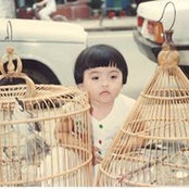 May Nguyen's photo