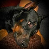 Robin Loreth's photo