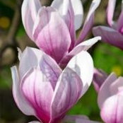 Christine Patten's photo