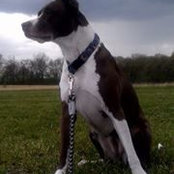 Maggie Rigney's photo
