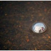 Simon Ramsey's photo