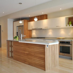 Contemporary Kitchen Cabinets - Products