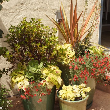 Container Plantings