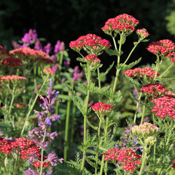 Formal English Garden