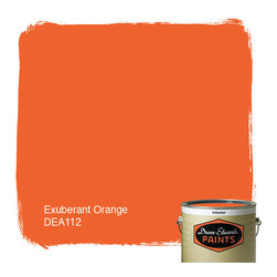 Dunn-Edwards Paints Exuberant Orange DEA112 - Paint