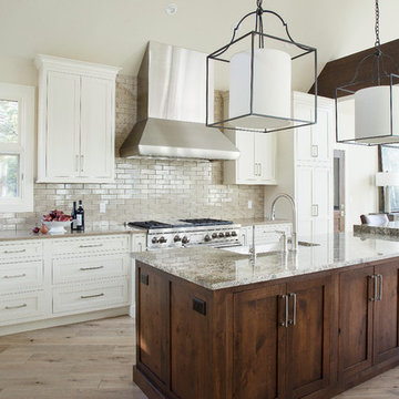 Classic Contemporary Remodel