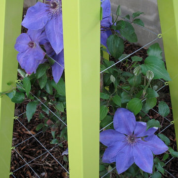 Akoris Garden Tuteur by Terra Trellis
