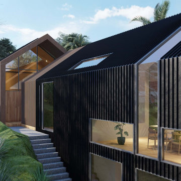 Scandinavian Modern Barn House