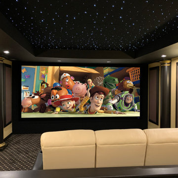 Home Theater & Media Rooms