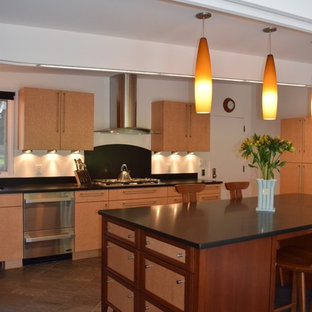 Noah & Lilly Kitchen Design Washington Crossing, Pennsylvania, United States Project Review & Ratings