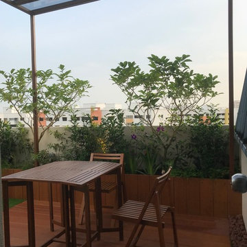 Roof terrace