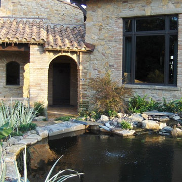 Koi Pond Pre Growth