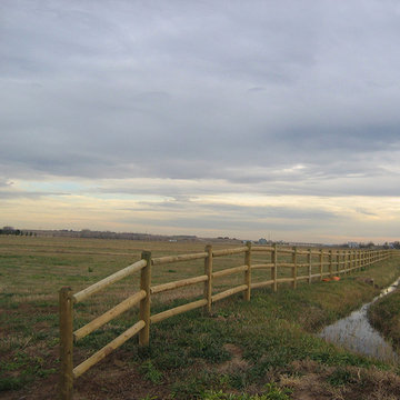 Fences