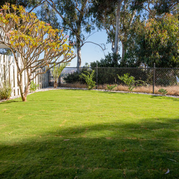 Backyard Sod & Landscape Refresh