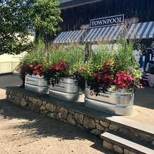 Window box